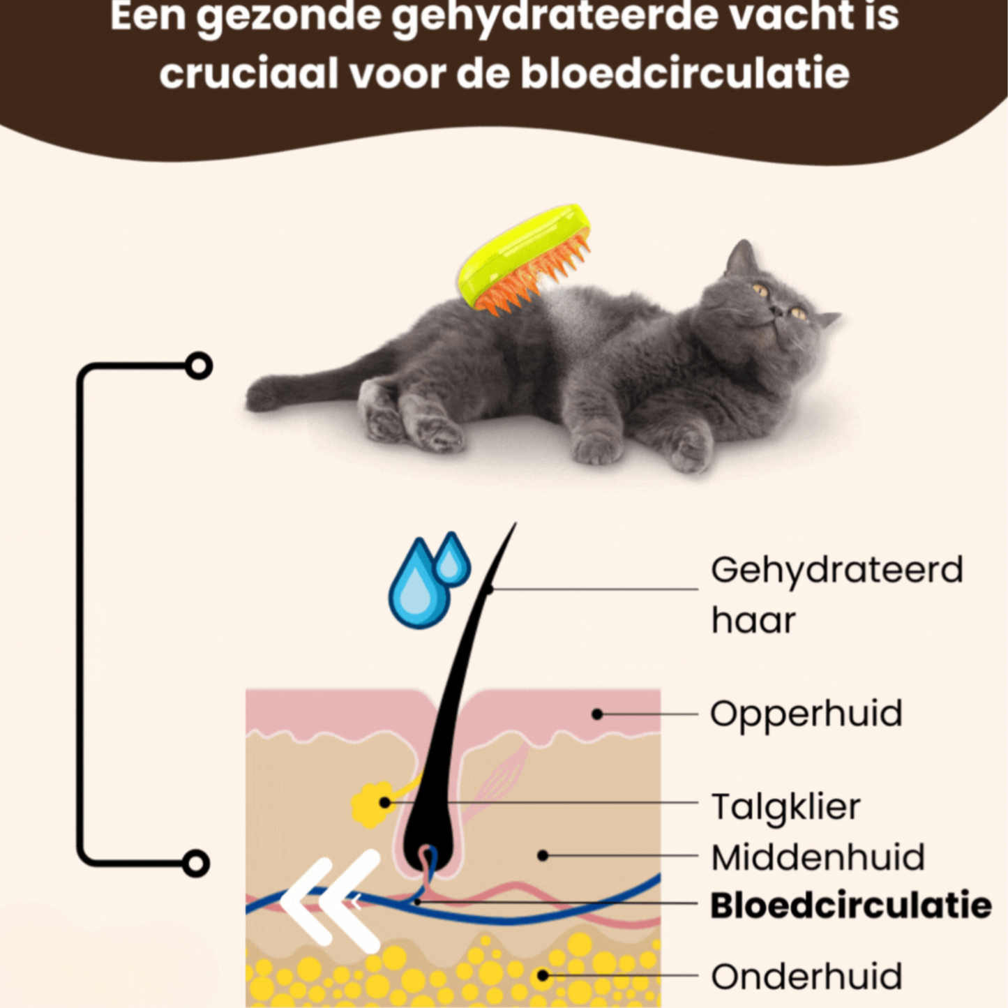SteamPaw™- Stoomborstel voor Honden en Katten