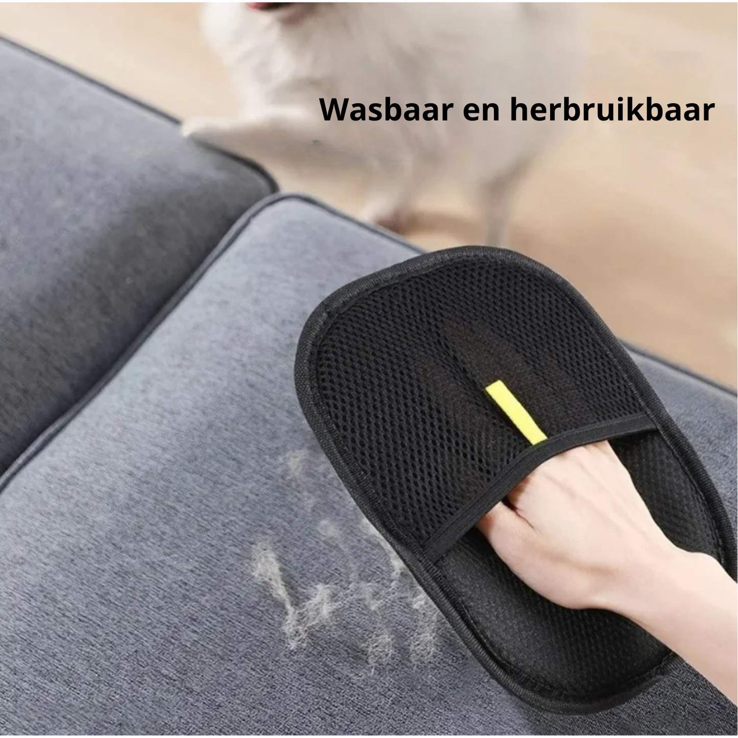 CleanPawn™ Haarverwijder Glove