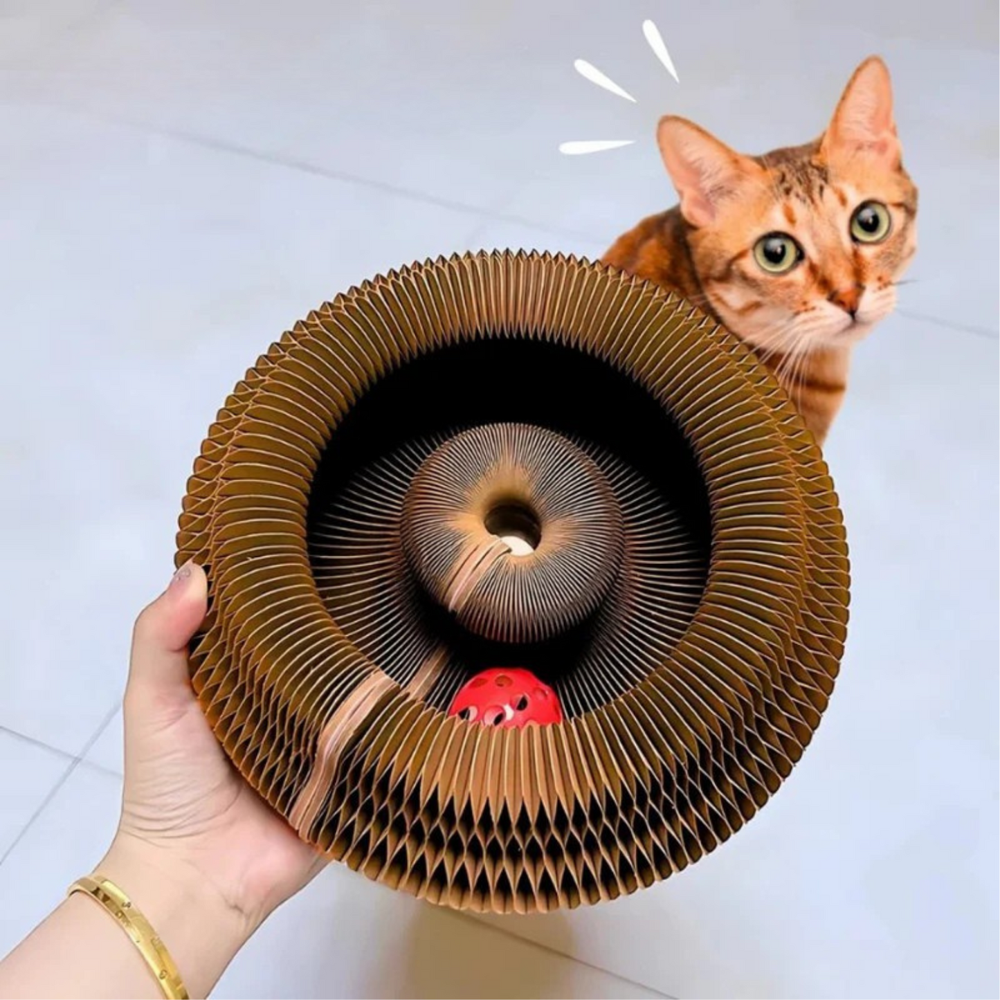 Scratch & Spin™ Kattenwiel