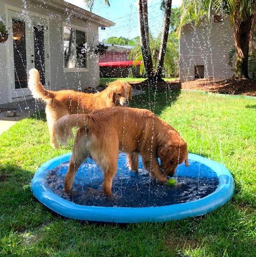 PawSplash™– Verkoelende Speelmat