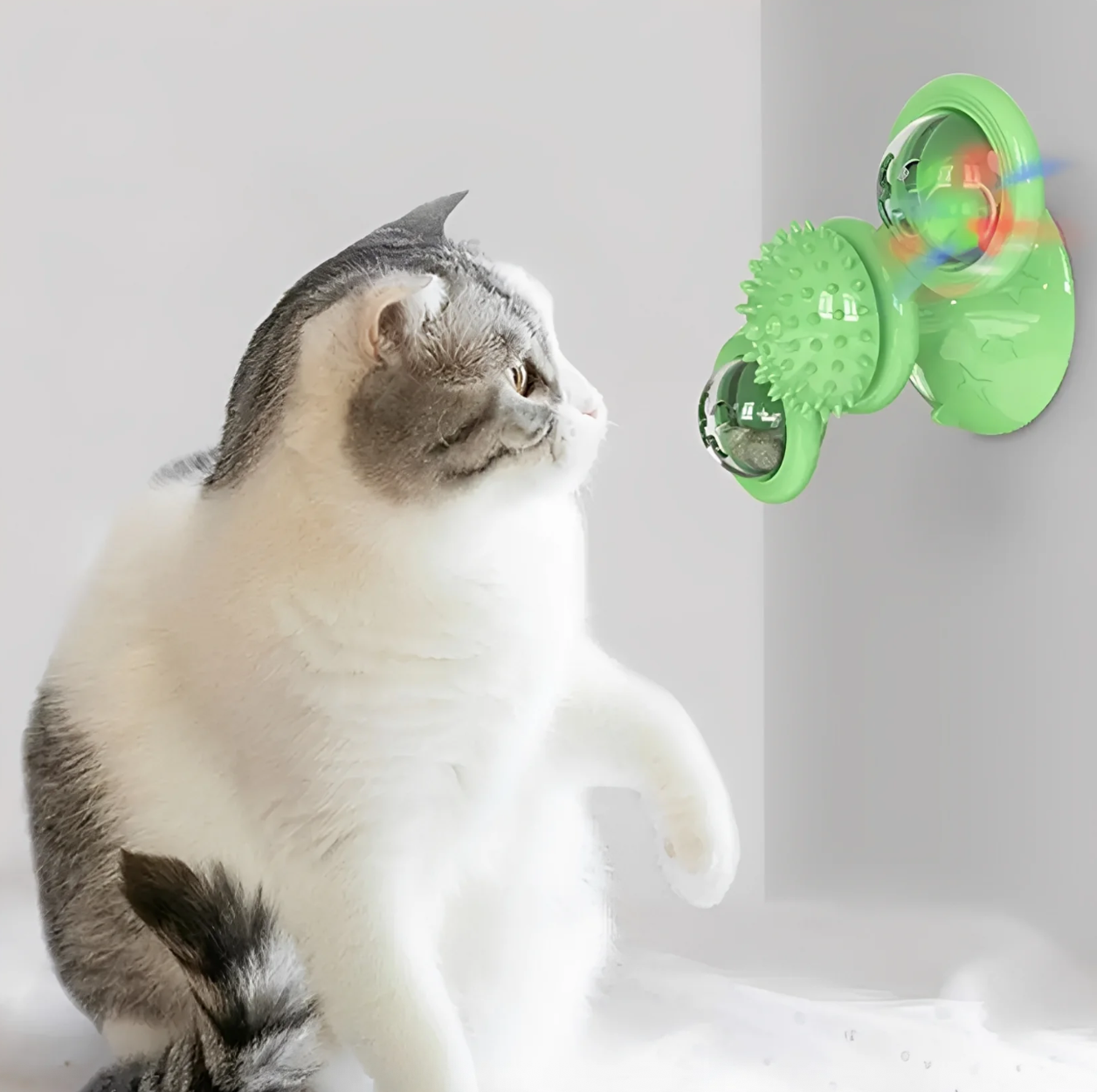 MeowSpin™– Draaiende Kattenmolen