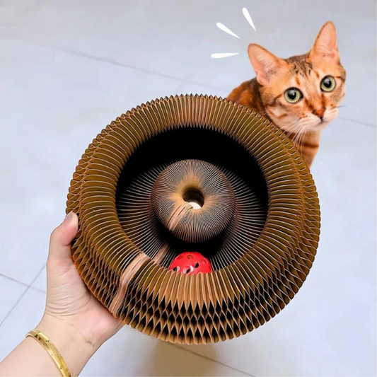 Scratch & Spin™ Kattenwiel